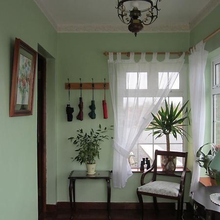 Ocean View B&B 基拉尼 外观 照片